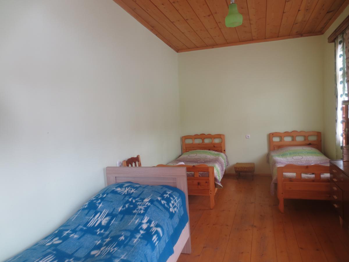 Irma Beso & Aleko Khergianis Guesthouse Mestia Zewnętrze zdjęcie