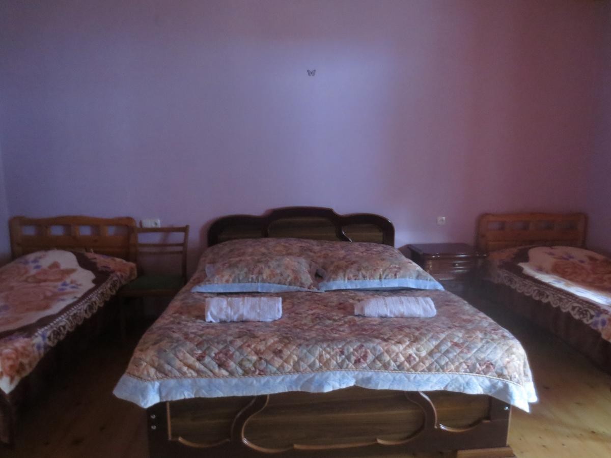 Irma Beso & Aleko Khergianis Guesthouse Mestia Zewnętrze zdjęcie