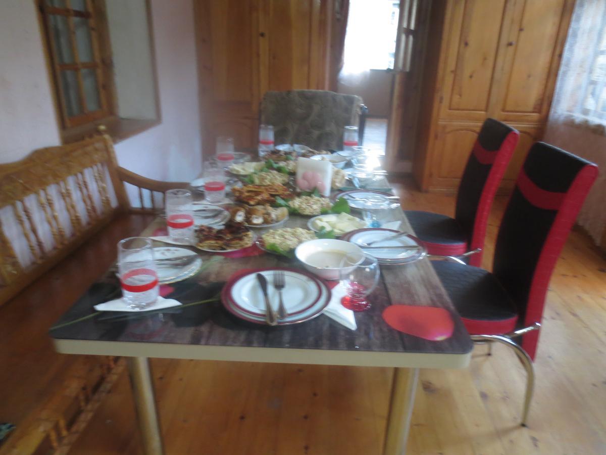 Irma Beso & Aleko Khergianis Guesthouse Mestia Zewnętrze zdjęcie